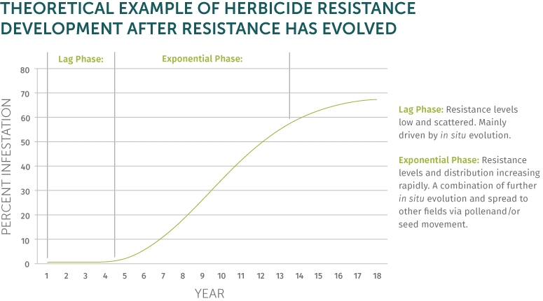 Example-of-Herbicide-Resistance.jpg#asse